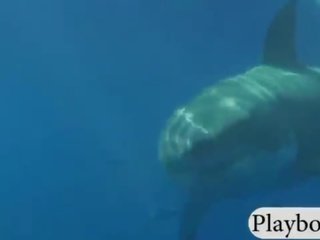 Секси баснословен мадами плуване с на shark и като карам сноуборд