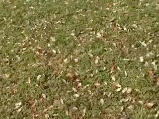 Breasty hợp pháp tuổi phụ nữ hút cho một đi chơi