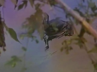 레 fruits 드 라 열정 (1981) - 그만큼 포르노를 장면