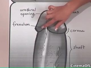 Enchanting 브루 넷의 사람 아기 도착 뿔의 가르침