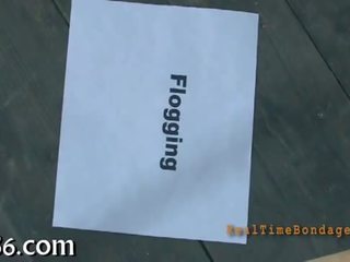 পায়ুপথ কঠোর ভর্ত্সনা সঙ্গে বিষ্ঠা ট্যাগ