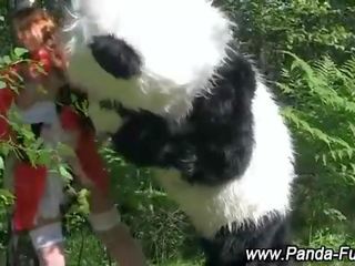 Plush panda fairytale জন্য লাল বাইক চালানো ফণা