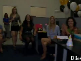 Танцююча ведмідь bacheloret