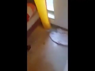 Vadia দা o cu e buceta প্যারা o amigo enquanto sua irmã£ filma