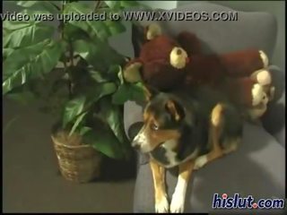 Тези проститутките сте чудесен