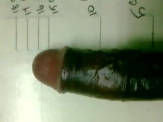 South ইন্ডিয়ান বাড়া