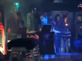 Celezte 節日 2015 明星 kaat 夾 skpro