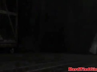 子猫 遊ぶ で ボンデージ mittens 縛ら ダウン