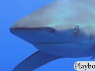 유혹하는 꽃미남 swam 와 shark 에 그만큼 새장 과 snowboarding