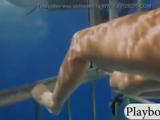诱人的 帅哥美女 swam 同 shark 在 该 笼 和 snowboarding