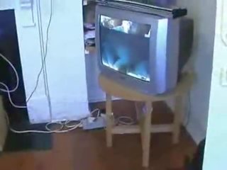 আনন্দদায়ক ইন্ডিয়ান খুকি হ একটি whiteman