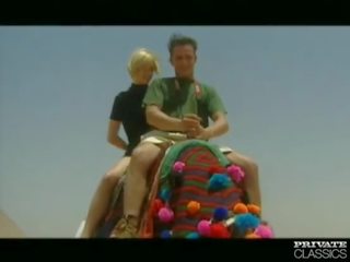 고양이 새끼 과 nikolette, 항문의 삼인조 에 그만큼 desert