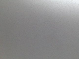Cam00080