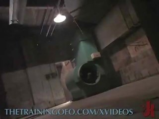 Брудна раб є trained для тримати каммінг