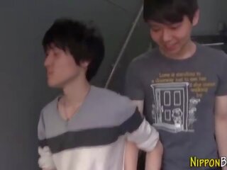 吸吮 日本语 奶油小生