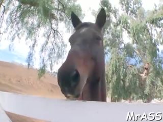 Ball Licking
