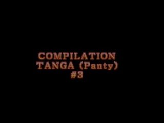 সমন্বয় ব্রেশিয়ার # 3