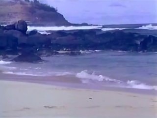姜 林恩, ron jeremy - surf, sand & 性别 电影 - 一 小 位 的 hanky panky