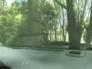 Втрачений красунчик скаче вгору в dirt дорога
