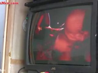 Magnificent 근 상단 도착 toped 로 다른 명랑한 멕시코의 라틴계 안장이 놓여 있지 않은